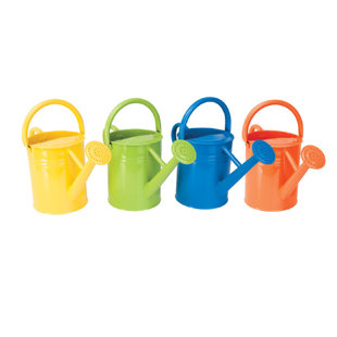Metal Watering Can