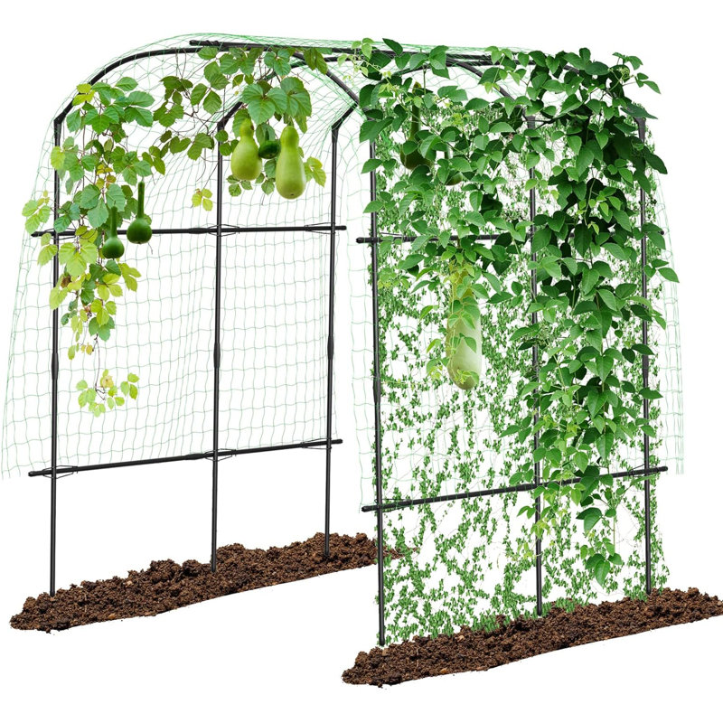 Tall Garden Arch Trellis For Climbing Plants, Large Grape Vine Support Arch Arbour Trellis