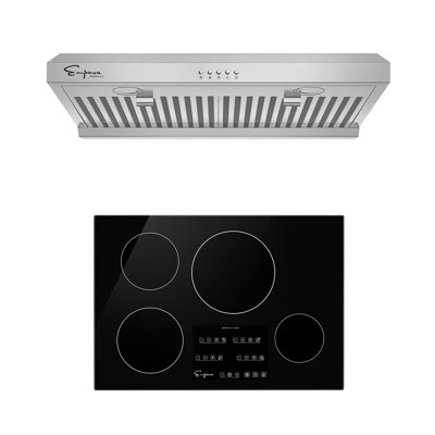 2 Piece Kitchen Package , 30" Induction Cooktop , 30" Ducted Under Cabinet Range Hood 