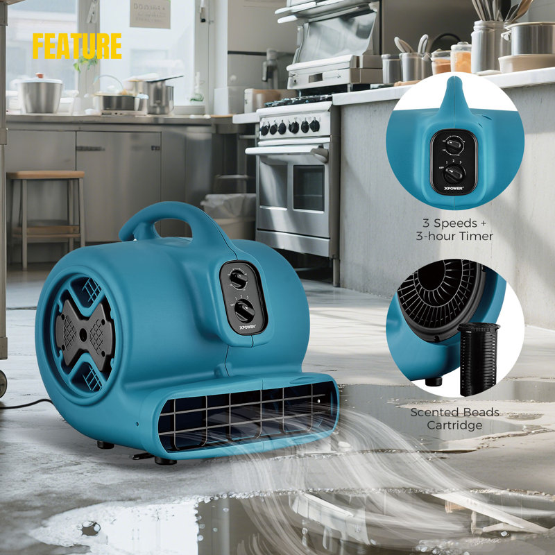 Ebern Designs 40.5cm Oscillating Blower Fan Fan