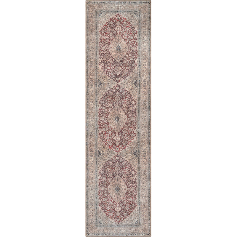 Eustice Washable Oriental Indoor Rug, Runner 2'7" x 9'10"
