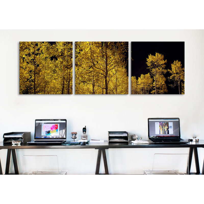 Trembles en automne, Colorado, États-Unis # 3 par Panoramic Images - Giclée sur toile tendue avec châssis