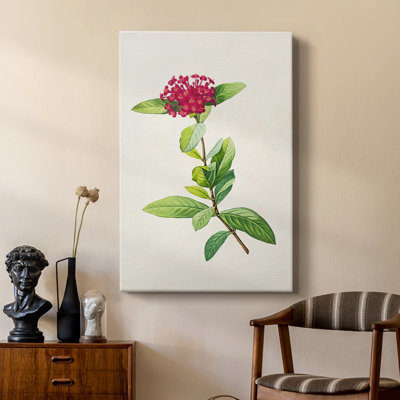 Pretty Pink Botanicals II -Custom Wrapped Gallery Cavas