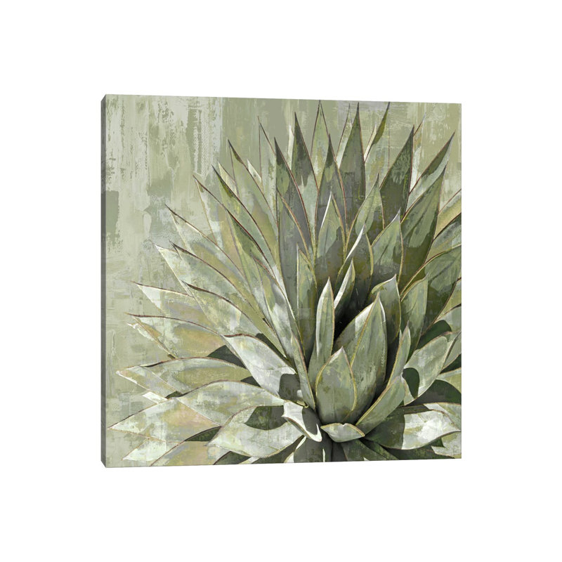 Succulent V 1 Piece Wrapped Canvas Painting, 66.04 cm H x 66.04 cm W x 3.175 cm D