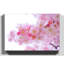 Pink Japanese Cherry Trees Photographic - Wrapped Canvas-19041950