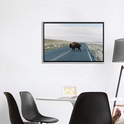 « buffalo bison » par chelsea victoria-impression