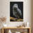 Brampt Congo Grey Parrot-108358538