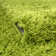 Torunn Grass Green Area Rug