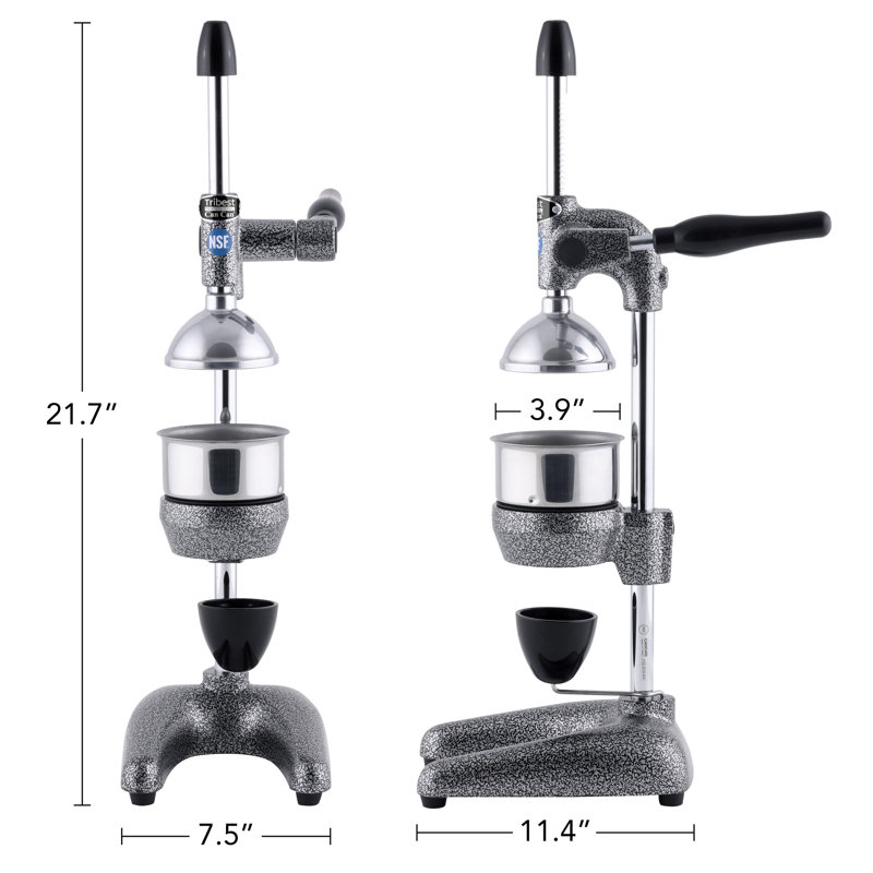 Tribest Manual Slow Masticating & Cold Press Juicer, Gray