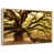 Floating Frame Natural Wood