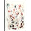 «Nc Bespoken Blossoms I» par Grace Popp - peinture encadrée-464415025-487023875