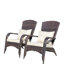 Patio Chair With Cushions( Grey Cushion)-1125353241