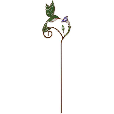 Colibri avec choix de fleurs 24