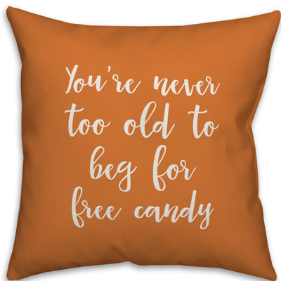  Housse de coussin carré et insert