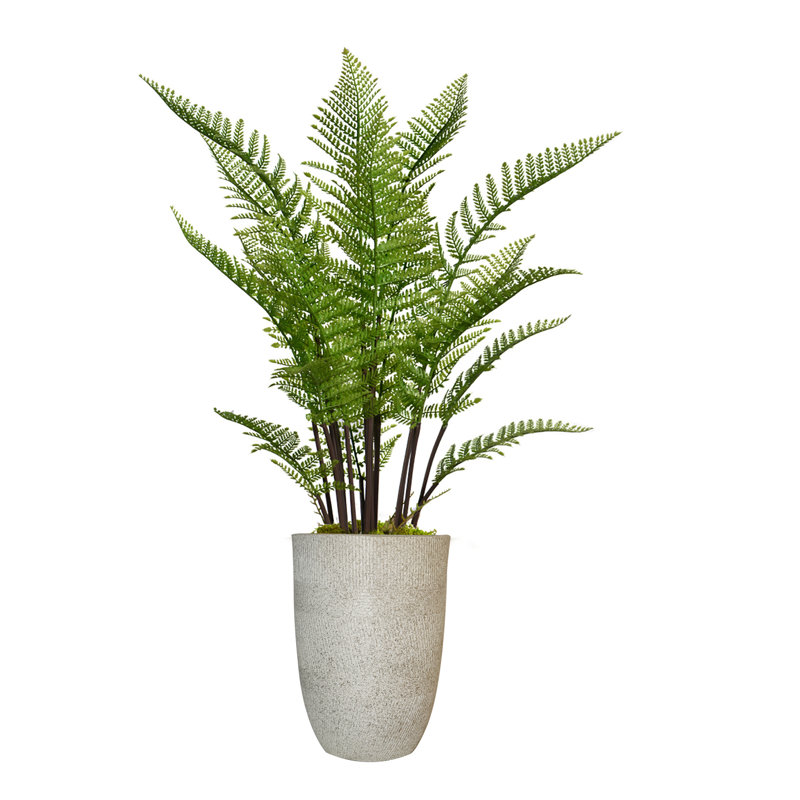 Panama 50" Artificial Fern Tree in Planter