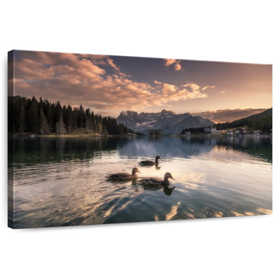 Canards d'Alvord Lake Misurina