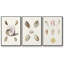 " Pastel Knorr Shells I " 3 - Pieces-91891606-91891609