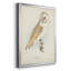 Toile encadrée de qualité supérieure Barn Owl - prête à être accrochée-1084533013-1084533014