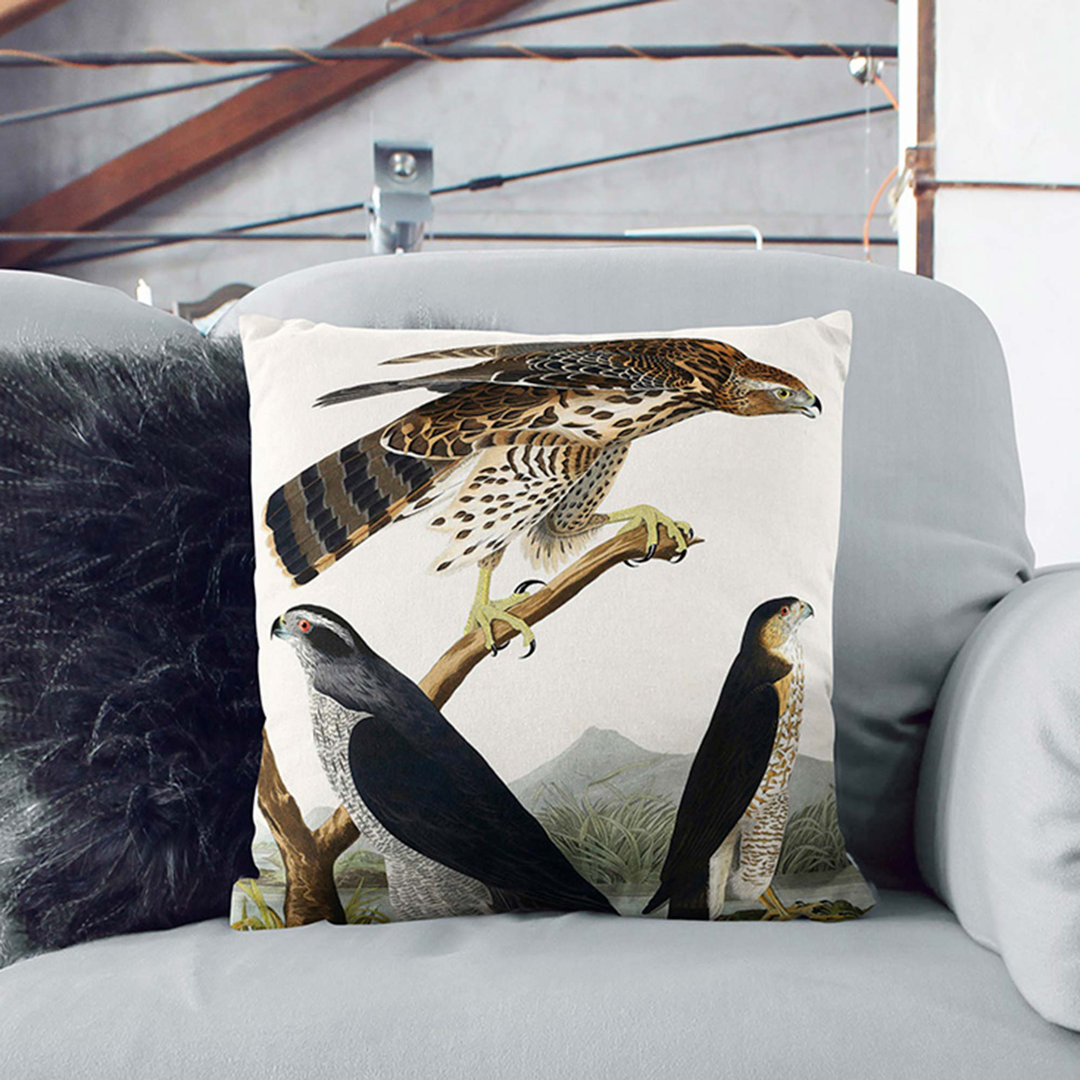 Goshawks & Stanley Hawk by John James Audubon Cushion with Filling