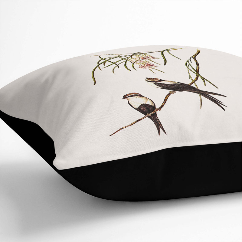 Square Throw Cushion, Black, 40cm H x 40cm W x 15cm D