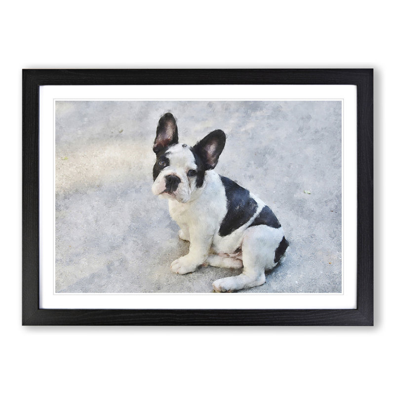 French Bulldog Vol.3 - Picture Frame Graphic Art, 27cm H x 36cm W x 2cm D, Black Framed