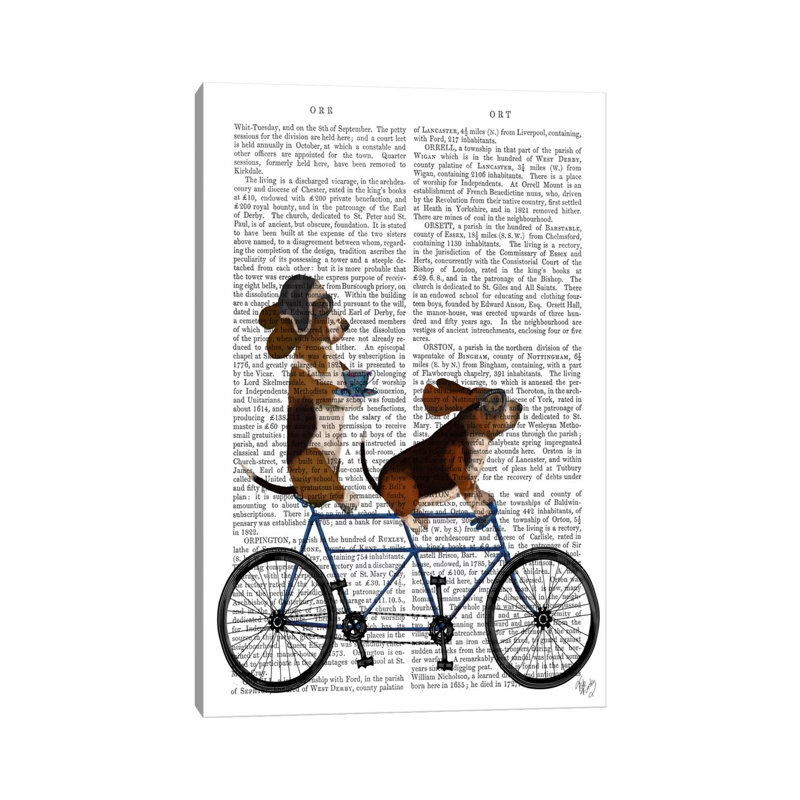 Basset Hound Tandem, Print BG by Fab Funky - Wrapped Canvas Gallery-Wrapped Canvas Giclée
