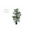 Faux Bamboo Tree in Pot-947594364