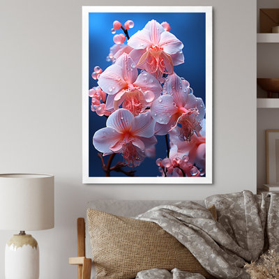 Magnifiques orchidées harmonieuses