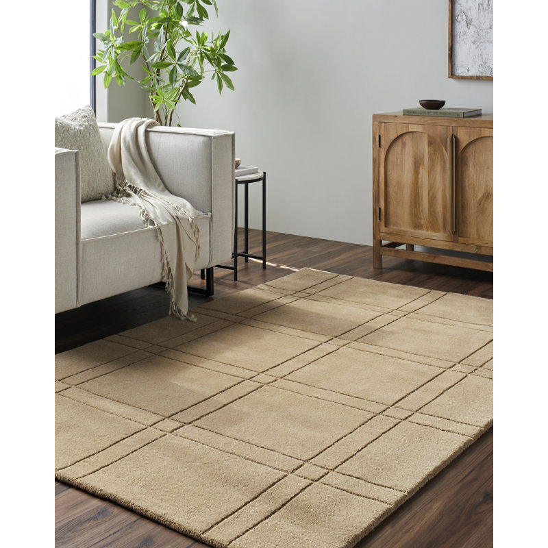 Tapis brun clair touffeté à la main Sioeli, Rectangle 9 pi x 12 pi