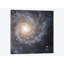 « radiateing hydrogène clouds, messier 74 (the phantom galaxy) », impression sur toile-19753668-74873029-74880017