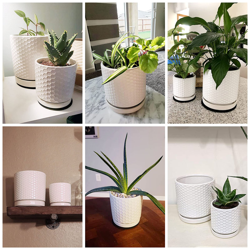 Set of 2 Modern Honeycomb Embossed Ceramic Planter Pots - 4" & 6" with Drainage Hole and Saucer