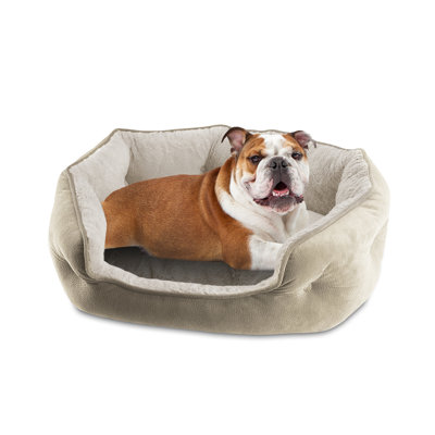 Creedmoor Orthopedic Polyester Pet Bed