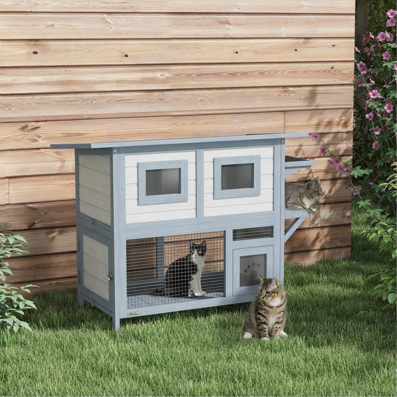 Abri pour chat 2 étages résistant aux intempéries avec porte de sortie pour l'extérieur, cour arrière