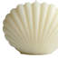 4" Ivory Unscented Dimensional Seashell Candle