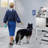 Multi-functional Pet Bathtub-93738012