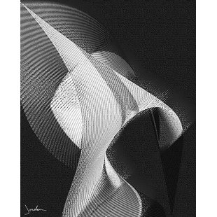 Kent Wilcoxson Jordan " Reaching Towards The Sun " by Kent Wilcoxson Jordan