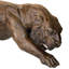 Prowling Tiger Garden Statue