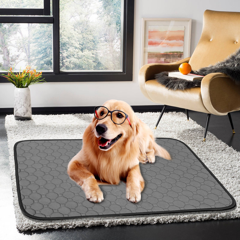 Multifonction lavable pour chiot Pee Pads à absorption rapide réutilisable pour chien, Petit (l 27,5 po x P 20 po x H 1 po)