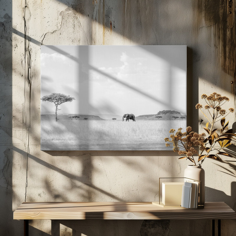 Wrapped Canvas Print