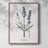 Lavender Framed Print - Solid Wood-1970716254