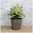 Shaian Pot Planter-1528078674-1528078673