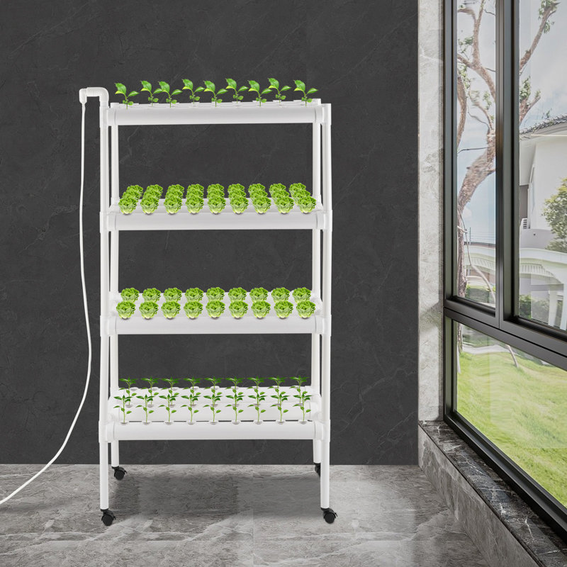 Hydroponic Grow Kit