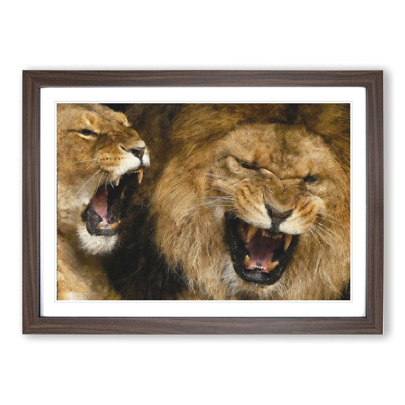 Two Lions - Framed Print, Walnut Framed, 48cm H x 65cm W x 2cm D