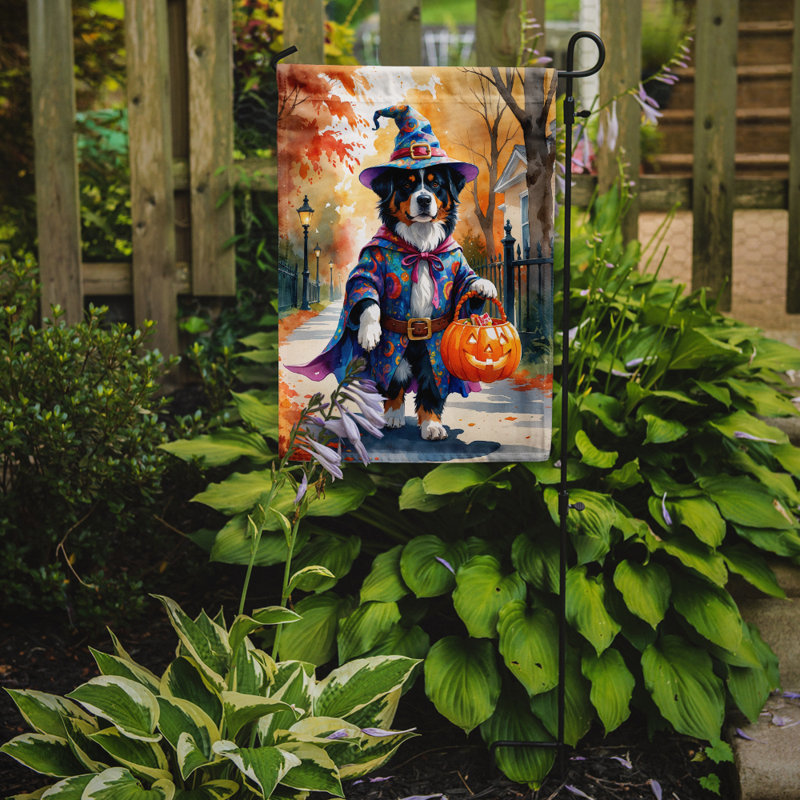 Drapeau du jardin Mastiff, Bouvier bernois