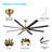 Osaze Ceiling Fan with LED Lights-91062118-95994505