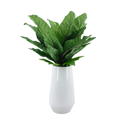 Faux Bird Nest Fern In Glossy White Ceramic Vase