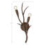 Palisades 2-Light Wall Sconce in Bark by Breegan Jane