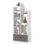 118cm H x 53cm W Standard Bookcase