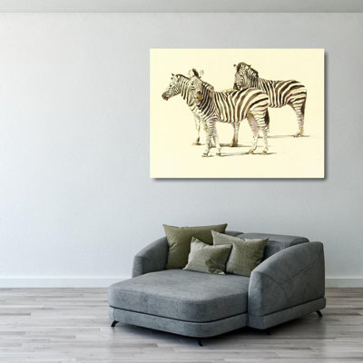Zebras