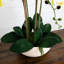 23 po Arrangement artificiel orchidée phalaenopsis en pot de céramique blanche (Real Touch)